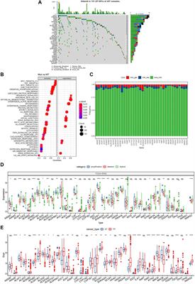 Comprehensive multi-omics analysis of tryptophan metabolism-related gene expression signature to predict prognosis in gastric cancer